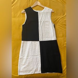 Birds of North America mod black and white colour block dress